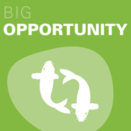 Big Opportunity